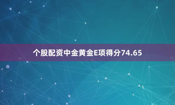 个股配资中金黄金E项得分74.65