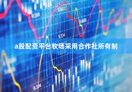a股配资平台牧场采用合作社所有制