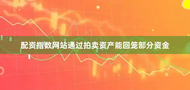 配资指数网站通过拍卖资产能回笼部分资金