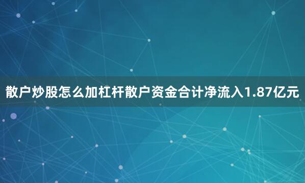散户炒股怎么加杠杆散户资金合计净流入1.87亿元