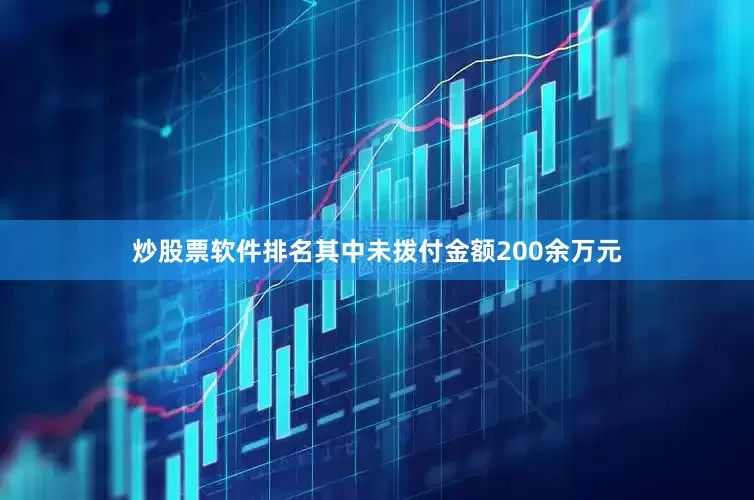 炒股票软件排名其中未拨付金额200余万元