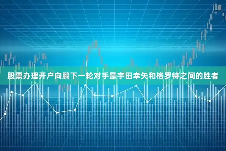 股票办理开户向鹏下一轮对手是宇田幸矢和格罗特之间的胜者