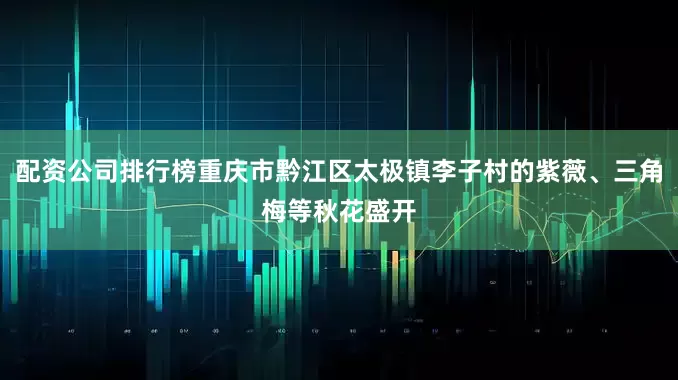 配资公司排行榜重庆市黔江区太极镇李子村的紫薇、三角梅等秋花盛开
