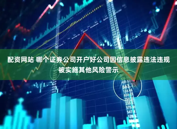 配资网站 哪个证券公司开户好公司因信息披露违法违规被实施其他风险警示