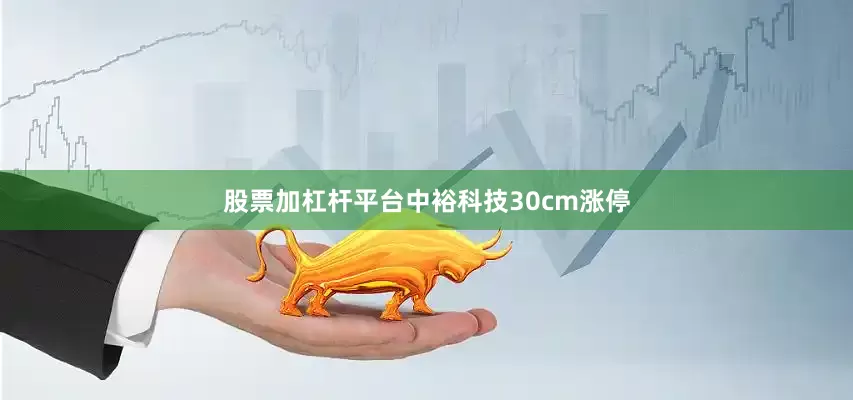 股票加杠杆平台中裕科技30cm涨停