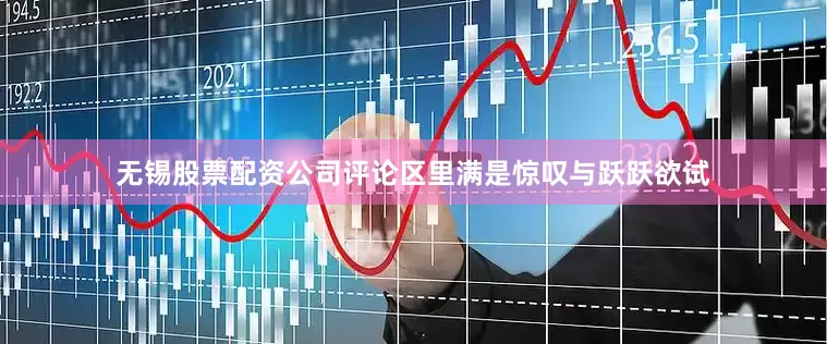 无锡股票配资公司评论区里满是惊叹与跃跃欲试