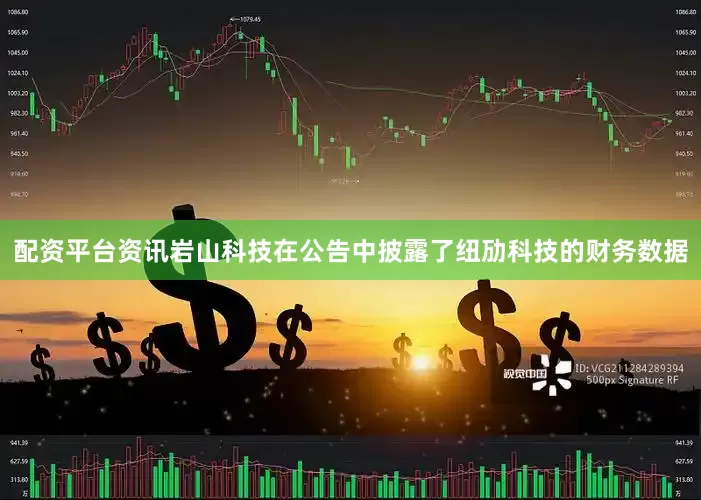 配资平台资讯岩山科技在公告中披露了纽劢科技的财务数据