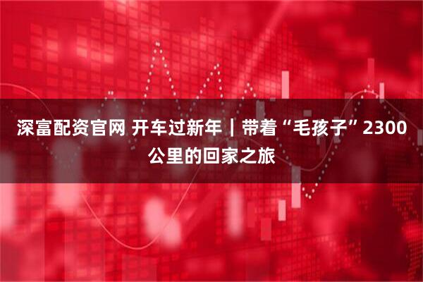 深富配资官网 开车过新年｜带着“毛孩子”2300公里的回家之旅