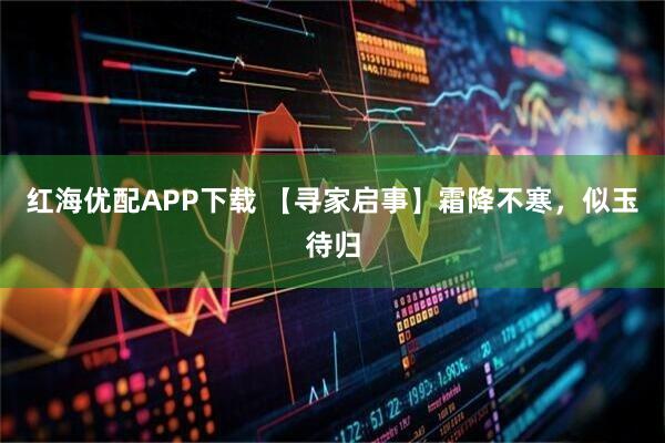 红海优配APP下载 【寻家启事】霜降不寒，似玉待归