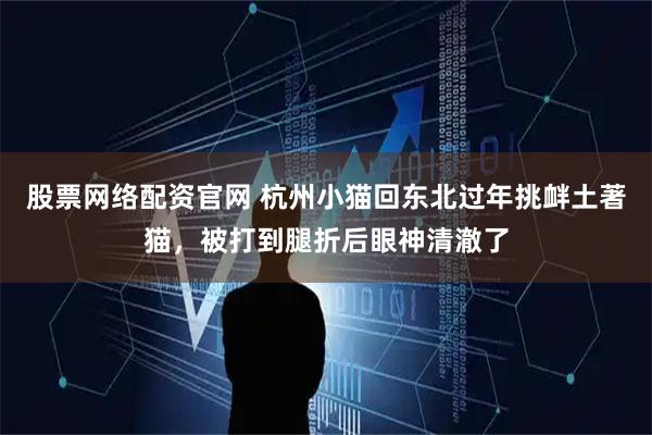 股票网络配资官网 杭州小猫回东北过年挑衅土著猫，被打到腿折后眼神清澈了