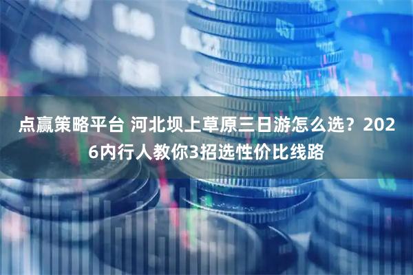 点赢策略平台 河北坝上草原三日游怎么选？2026内行人教你3招选性价比线路