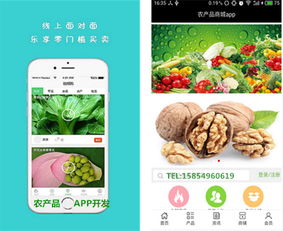 农产品商城APP开发解决方案